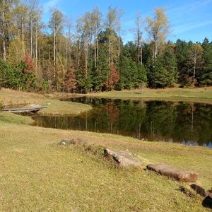 Meet your Posher, Mara